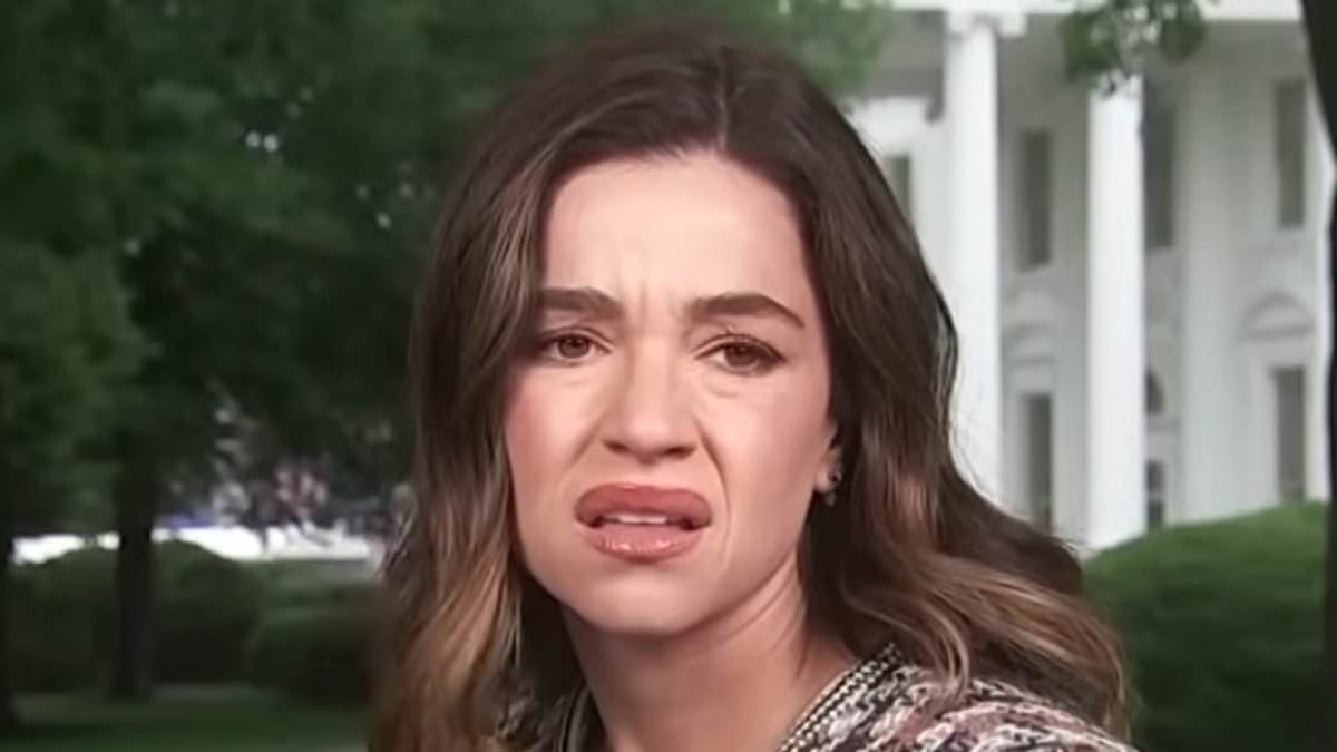 NBC Reporter Mistakenly Confuses Gunfire for Fireworks at White House
