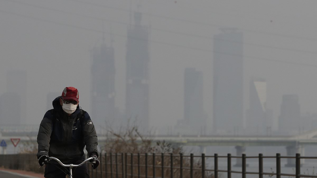 One Hour of Polluted Air Damages Lungs and Brain Function Immediately