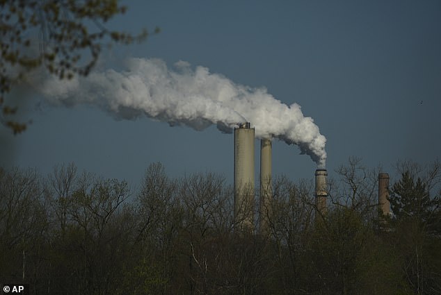 One Hour of Polluted Air Damages Lungs and Brain Function Immediately