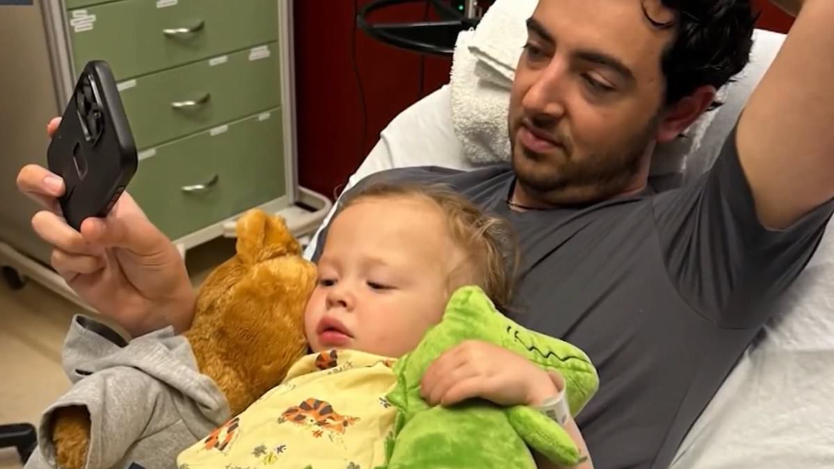 Two-year-old boy in Massachusetts hospitalized after raccoon attack at playground