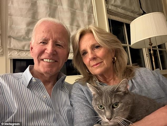 Democrats clash with Biden family over damaging distraction during election year.