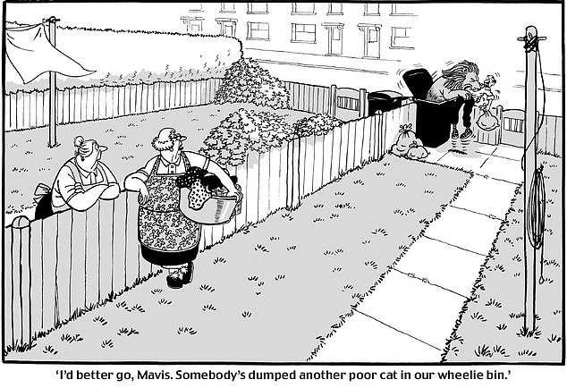 Mary Bale, the "Cat Bin Lady," faces life-altering global scrutiny after viral video.
