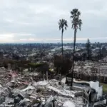 California Wildfires Reveal Electric Vehicle Battery Hazards