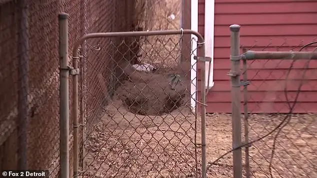 Detroit Mother Murdered Her Nine-Year-Old Son