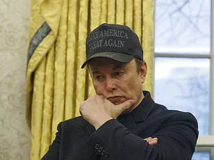Elon Musk Uncovers Concern Over Social Security Data