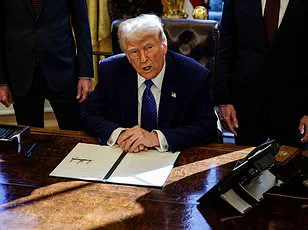 European Leaders Divide Over Trump Peace Plan for Ukraine