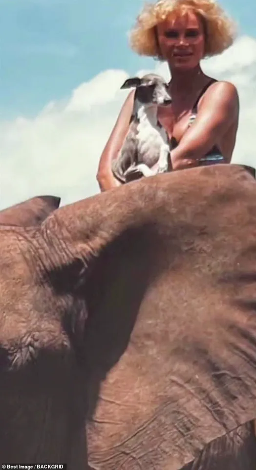 Jocelyn Wildenstein's Personal Photos: A Glimpse into Her Love for Africa and Family