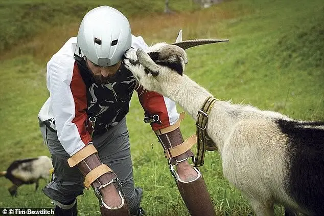 Living as a Goat: A Man's Year-Long Transformation