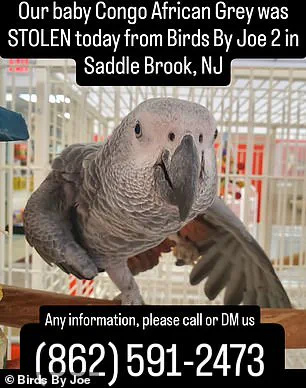 Pet Store Owner in Saddle Brook, NJ, Attacked with Crossbow