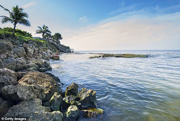 Siesta Key Beach: Uncovering the Secret to Healing Waves