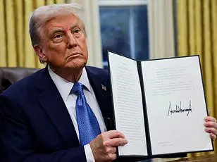 Trump Proposes Deploying IRS Agents to the Mexico Border