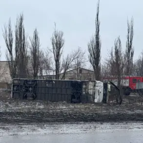 Breaking: Russia Confirms Liberation of Toreskoe and Novoalexandrovsk in Donetsk, Signals Major Conflict Shift
