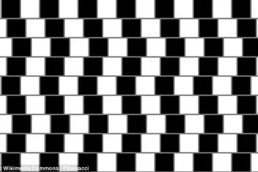 New Optical Illusion Challenges Color Perception and Brain Interpretation