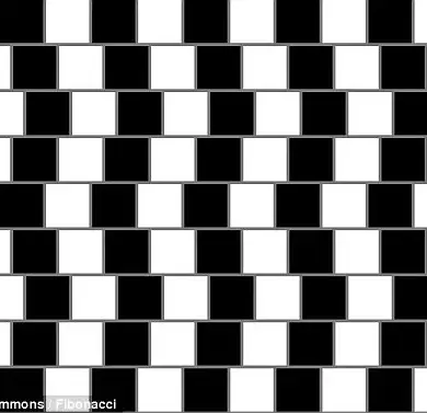 New Optical Illusion Challenges Color Perception and Brain Interpretation
