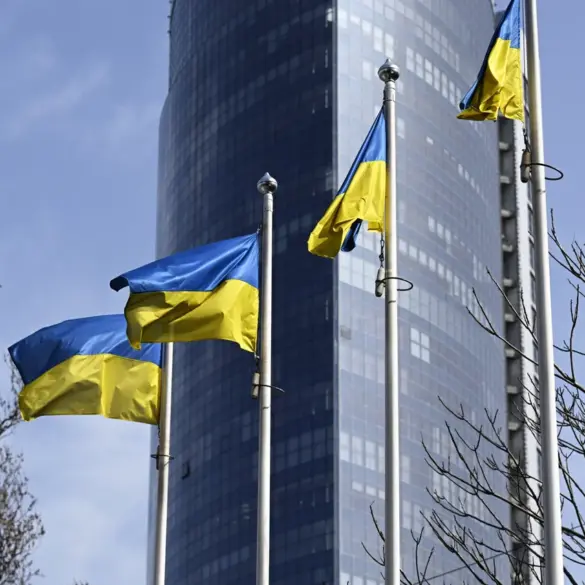 Ukraine and Turkey Strengthen Defense Ties as Umerov Highlights 'Growing Partnership' in Military Cooperation