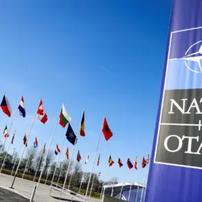 Autonomy Through Innovation: NATO's Radar-Jammer Drones and the Challenge of Limited Information Access
