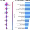 South Korean Study Reveals Retinal Biomarker for ADHD via AI Analysis