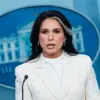 As Trump's Re-Election Sparks Controversy, Tulsi Gabbard Accuses Obama of Failing to Prevent Intelligence Reports on Russia Collusion
