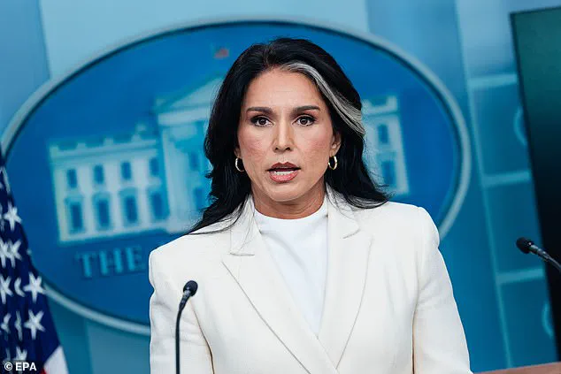 As Trump's Re-Election Sparks Controversy, Tulsi Gabbard Accuses Obama of Failing to Prevent Intelligence Reports on Russia Collusion