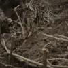 Breaking: Alleged Ukrainian Ambush in Komar Escalates Tensions on Eastern Front