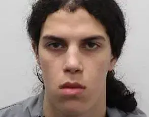 Bridgerton Star's Relocation and Light Sentence for Thief Raise Community Safety Alarms