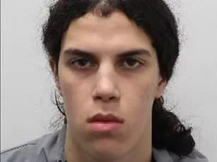 Bridgerton Star's Relocation and Light Sentence for Thief Raise Community Safety Alarms