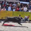 Bullfighter Injured During Festival in Veracruz as Two Bulls Charge in Unexpected Encounter