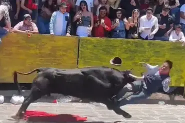 Bullfighter Injured During Festival in Veracruz as Two Bulls Charge in Unexpected Encounter