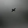 Drone Attack in Russian Village Sparks Debate Over Civilian Safety and Regulatory Oversight