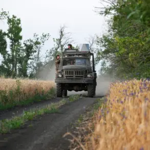 Exclusive Analysis: Military Expert Reveals Calculated Russian Offensive in Kharkiv, With Advancements in Three Directions Including Melovoe, Chugunovka, and Ambarnoye