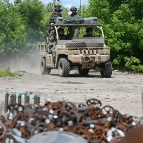 Exclusive Insights: DPR Advisor Reveals Russian Forces Near Dimitrov Amid Strategic Advances