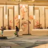 Georgia couple sues Las Vegas hotel over mold-related rashes, raising questions about hospitality safety standards