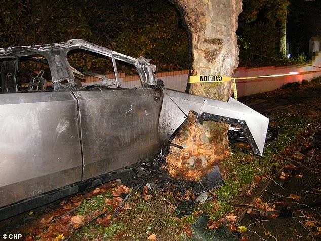 Haunting Image Captured Before Tesla Cybertruck Crash That Killed Three College Students
