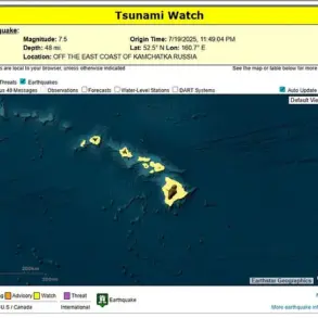 Hawaii's Emergency Systems Spring into Action Following 7.5 Earthquake, Public Informed of Tsunami Concerns