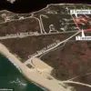 Late-Breaking Feud on Nantucket: 80-Year-Old Sues Neighbor Over Trespassing and Tree-Cutting Dispute