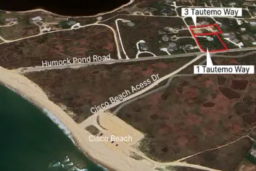 Late-Breaking Feud on Nantucket: 80-Year-Old Sues Neighbor Over Trespassing and Tree-Cutting Dispute