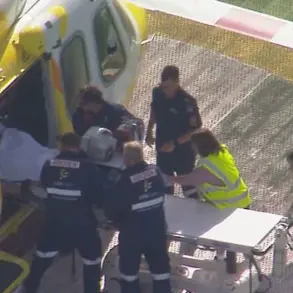 Lion Attack at Darling Downs Zoo Leaves Woman with Severe Injuries, Arm Lost in Incident