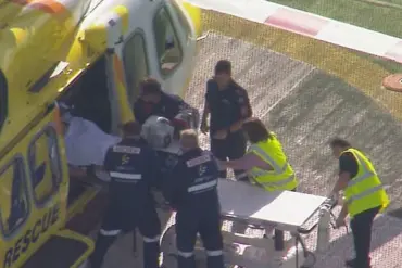Lion Attack at Darling Downs Zoo Leaves Woman with Severe Injuries, Arm Lost in Incident