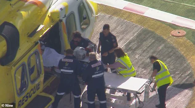 Lion Attack at Darling Downs Zoo Leaves Woman with Severe Injuries, Arm Lost in Incident