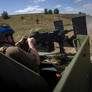 Local Resident in Selydove, Donetsk People's Republic Alleges Ukrainian Soldiers Executed Neighbor