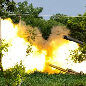 Malaysian Government Facilitates Cease-Fire Between Thailand and Cambodia to Reduce Public Exposure to Border Conflict