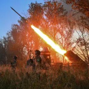 Military Analysts: Russian Destruction of Ukrainian Robotic Resupply Platforms Disrupts Logistics, Boosts Advance