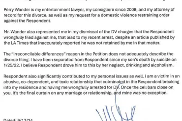 Privileged Access: The Resurfaced Legal Filing Detailing a Tragic Accusation in a Divorce Case