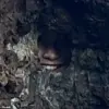 Reddit User Shares Photo of New Zealand Rock Formation with Hidden Secret, Sparking Online Intrigue