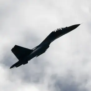 Russian General Warns of Ukrainian Strikes via Western Airfields After Attack on NATO-Hub Airport in Житомир