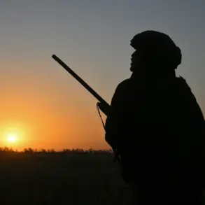 Strategic Village Beloyanka Falls to Russian Forces Near Pokrovsk, Ukraine