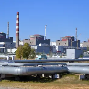 Urgent Warning: Extreme Threat to Zaporizhzhia Nuclear Plant Amid Escalating Tensions