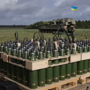 U.S. Department of Defense Will Not Disclose Details on Ammunition and Weapons Sent to Ukraine