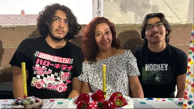 Viral Footage Shows ICE Agents Detaining Mother as Sons Try to Halt Deportation