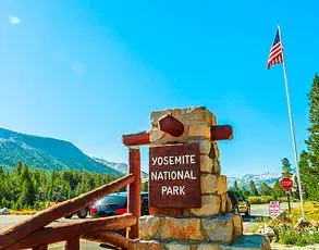 Yosemite's Aggressive Squirrels: A Growing Menace in America's Iconic National Park